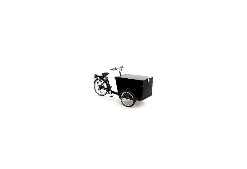 BABBOE PRO-TRIKE e (Reconditionné - moins de 100km)