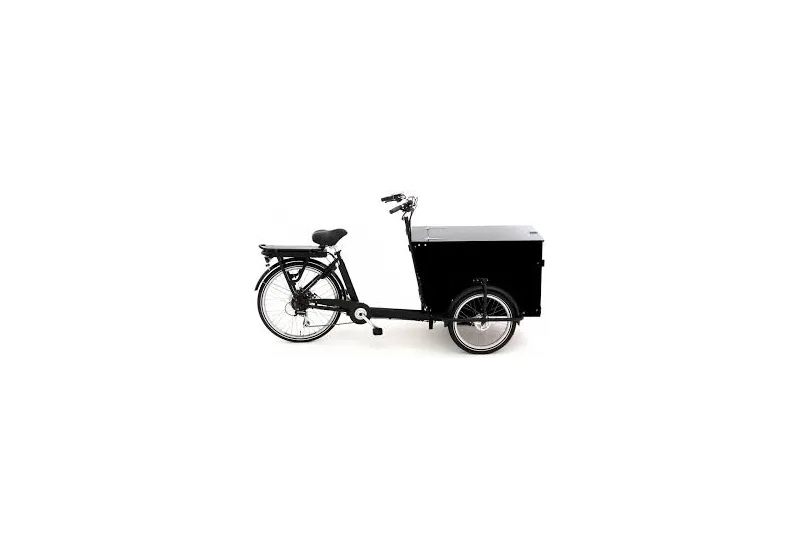 BABBOE PRO-TRIKE e (Reconditionné - moins de 100km)